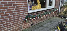 a giraffe in a window decorated with christmas lights and ornaments next to a brick wall