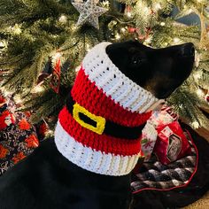 a black dog wearing a santa hat next to a christmas tree