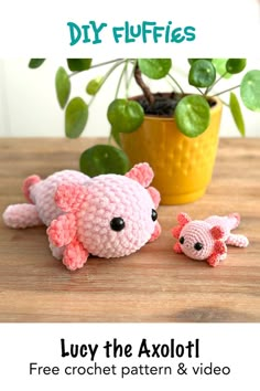 This is an almost no sew amigurumi crochet pattern. including a full video tutorial to show you how to create a cute Axolotl. This little sea animal is so much fun to make! The small axolotl has a great keychain size. Cute Animal Crochet Patterns, Sea Animal Crochet, Cute Animal Crochet, Axolotl Crochet Pattern, Axolotl Crochet, Crochet Creatures, Crochet Studio, Animal Crochet Patterns, Easy Beginner Crochet Patterns