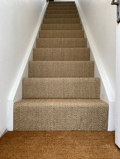 a cat is sitting on the carpeted stairs