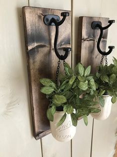 two potted plants hanging from hooks on a wall