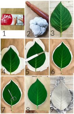 step by step instructions on how to make a leaf