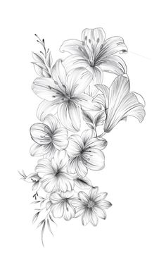 pencil drawing of flowers on white paper