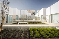 an outdoor courtyard with several plants and trees in the foreground, surrounded by white buildings