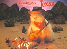 a cat wearing a cowboy hat and holding a guitar in front of a campfire