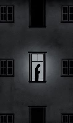 a person standing in a window looking out at the night