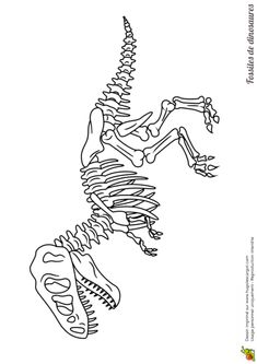 the skeleton of a horse is shown in black and white, as well as text