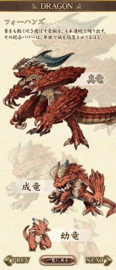 an image of some type of dragon with different types of wings and head shapes on it