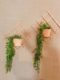 two potted plants hanging on the side of a wall next to another planter