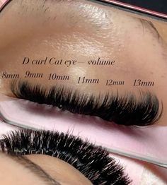 Eyelash Extensions Styles With Bottom Lashes, Eyelash Extensions Cluster, Lash Maps For Different Eye Shapes, Eyelash Maps, Lash Extension Ideas, Lashes Map, Wispy Lash Map, Lash Extensions Mapping Styles, Eyelashes Ideas