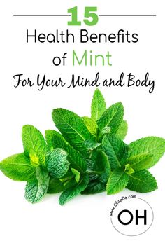 mint leaves with the words 15 health benefits of mint for your mind and body on it