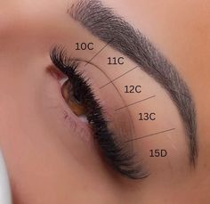 Lash Extentions, Eyebrow Makeup Tutorial, Lash Styles