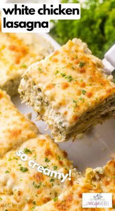 white chicken lasagna on a plate with broccoli and parsley in the background