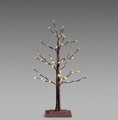 a lighted tree with white lights on it's branches and brown base, in front of a gray background