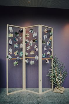 a room divider with pictures on it and a potted plant in the corner