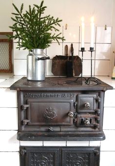 an old fashioned stove with a potted plant on top