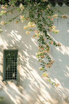 an image of flowers growing on the side of a building that is white and green