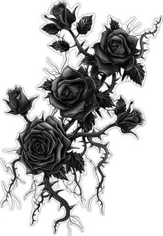 some black roses on a white background