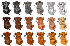 an image of different types of koalas