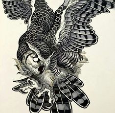 an owl is flying with its wings spread