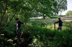 two men are walking through the woods with trees in the foreground and grass on the ground