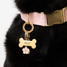 a black dog wearing a pink collar with a bone charm