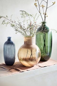 three vases with plants in them sitting on a shelf next to each other,