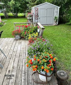 a wooden deck with potted flowers on it and a shed in the back ground