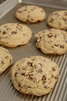 chocolate chip cookies on a cookie sheet ready to go in the oven for baking,