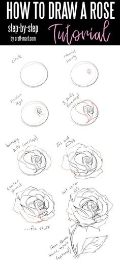 how to draw a rose step - by - step instructions for beginners and advanced students