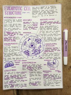 a paper with some writing on it and a pen next to it that says eukartotic cell structure