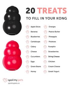 two different types of dog toys with the words 20 treats to fill in your kong