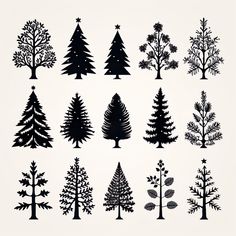 the silhouettes of different types of trees are shown in black on a white background