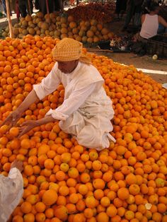 a man sitting on top of a pile of oranges