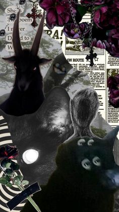 the collage shows an animal, flowers and other items in black and white colors