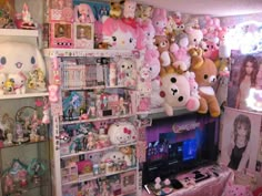 a room filled with lots of stuffed animals next to a television set and shelves full of toys