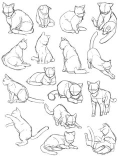 some cats sitting and standing in different positions