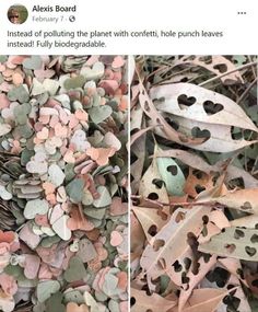 two pictures of leaves with holes in them and one is filled with small heart shapes