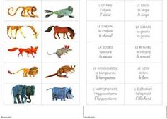 the different types of animals are shown in this chart