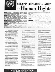 an article from the united nations on human rights