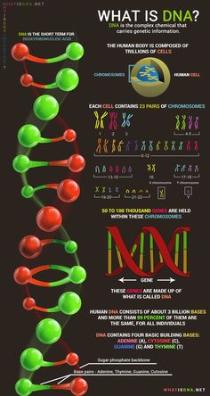 an info poster showing the different types of cell phones and their functions in cellular systems