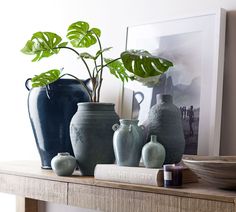 there are many vases on the mantle with plants in them