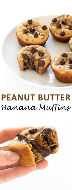 peanut butter banana muffins with chocolate chips in the middle on a white plate