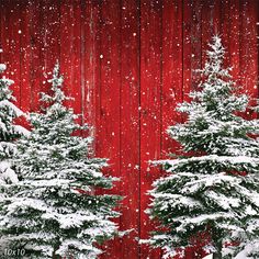 two snow covered evergreen trees in front of a red wooden fence with snow falling on it