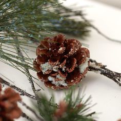 a pine cone sitting on top of a table next to some branches and snow flakes