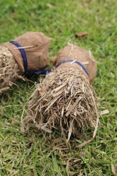 two balls of hay sitting in the grass