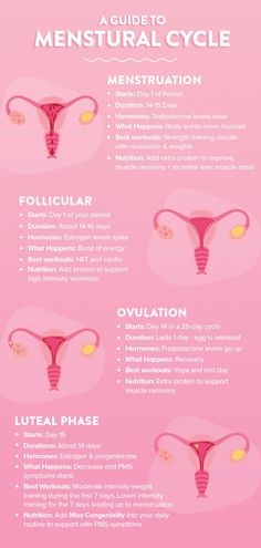 Cycle Infographic, Wellness Infographic, Cycle Health, Menstrual Cycle Phases, Menstruation Cycle, Love Sweat Fitness, Period Cycle, Progesterone Levels