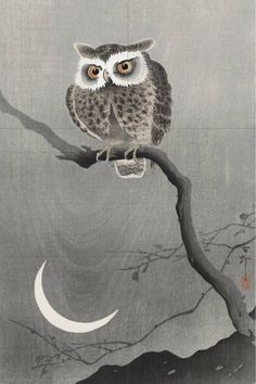 an owl sitting on top of a tree branch with the moon in the sky behind it