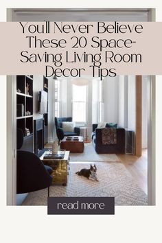 a living room filled with furniture and a cat laying on the floor next to it