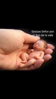 a hand holding a tiny baby in it's palm with the caption grace sefor por el don de la viada